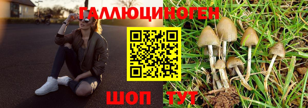 Галлюциногенные грибы Magic Shrooms Партизанск